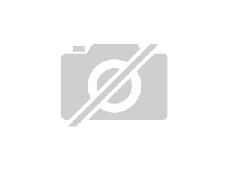 Suche reitbeteiligung auf einem pony